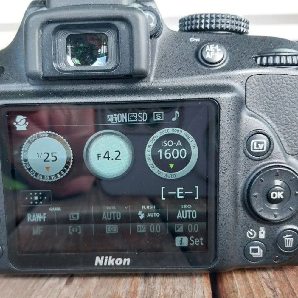 Nikon D3300